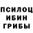 Псилоцибиновые грибы Magic Shrooms pp0i j