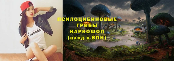 СК Алексеевка
