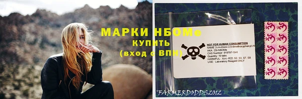 стафф Алзамай
