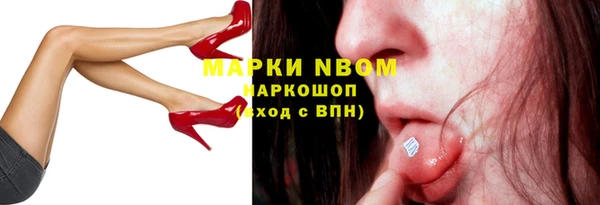 стафф Алзамай